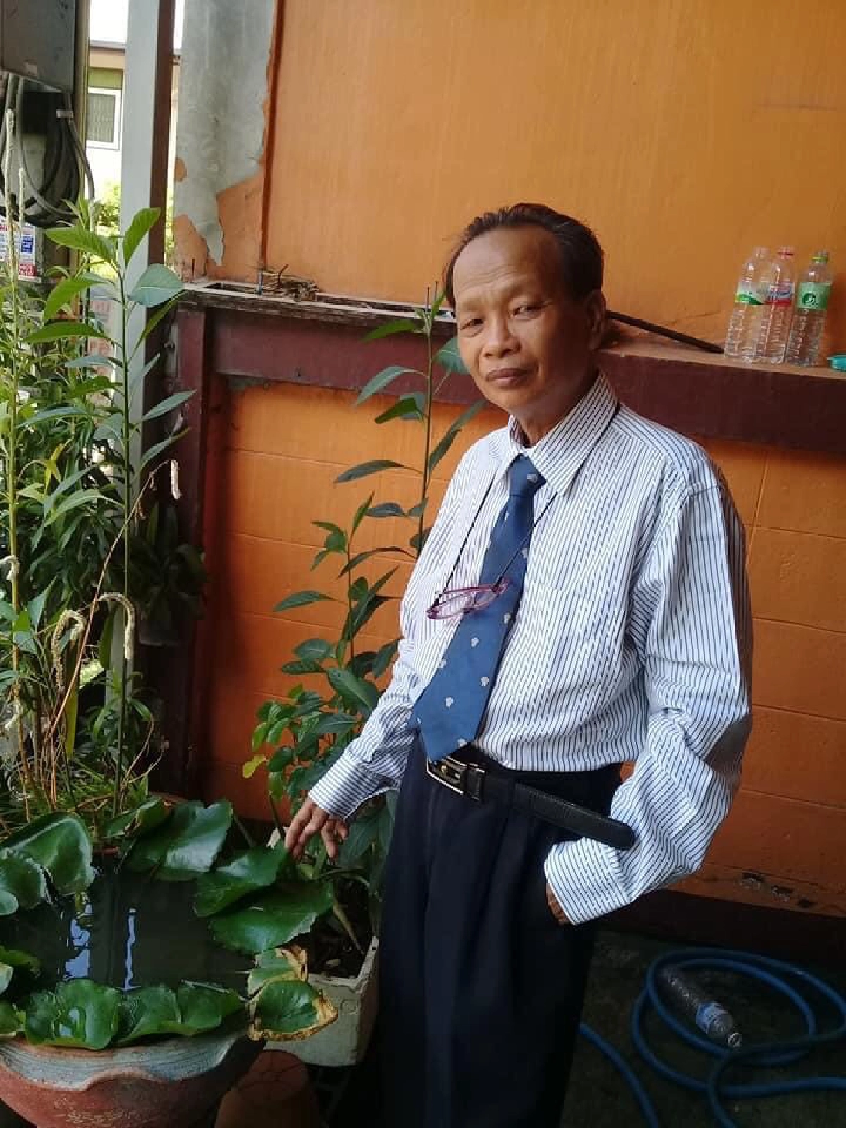 ทุย​ ลูกไทย