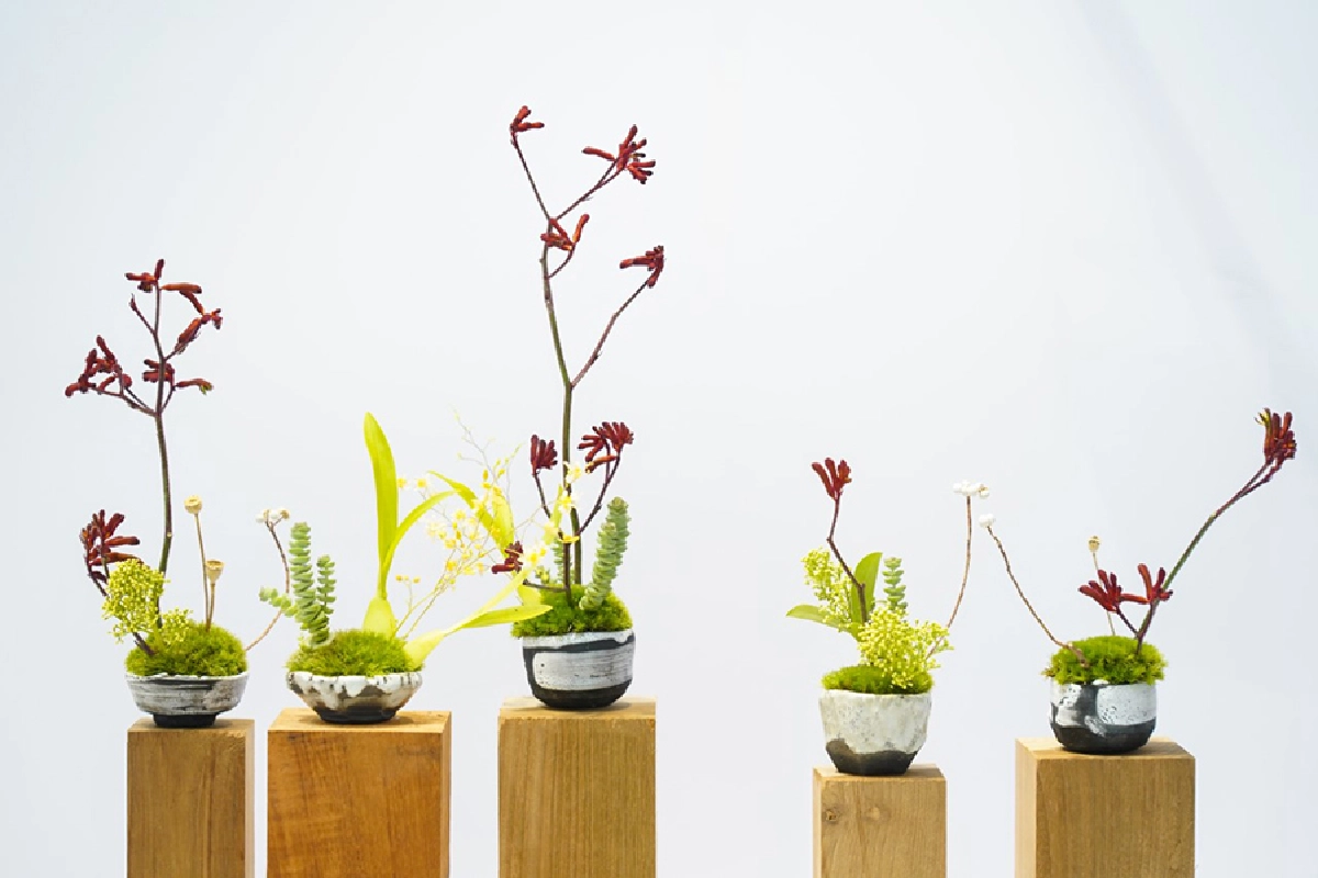 ศาสตร์จัดดอกไม้อันเก่าแก่ประจำชาติญี่ปุ่น “อิเคบานะ”