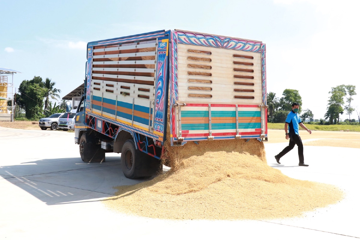 ตลาดนัด "ข้าวเปลือก" เพื่อให้ "เกษตรกร" มีทางเลือก และอำนาจต่อรองขายข้าว
