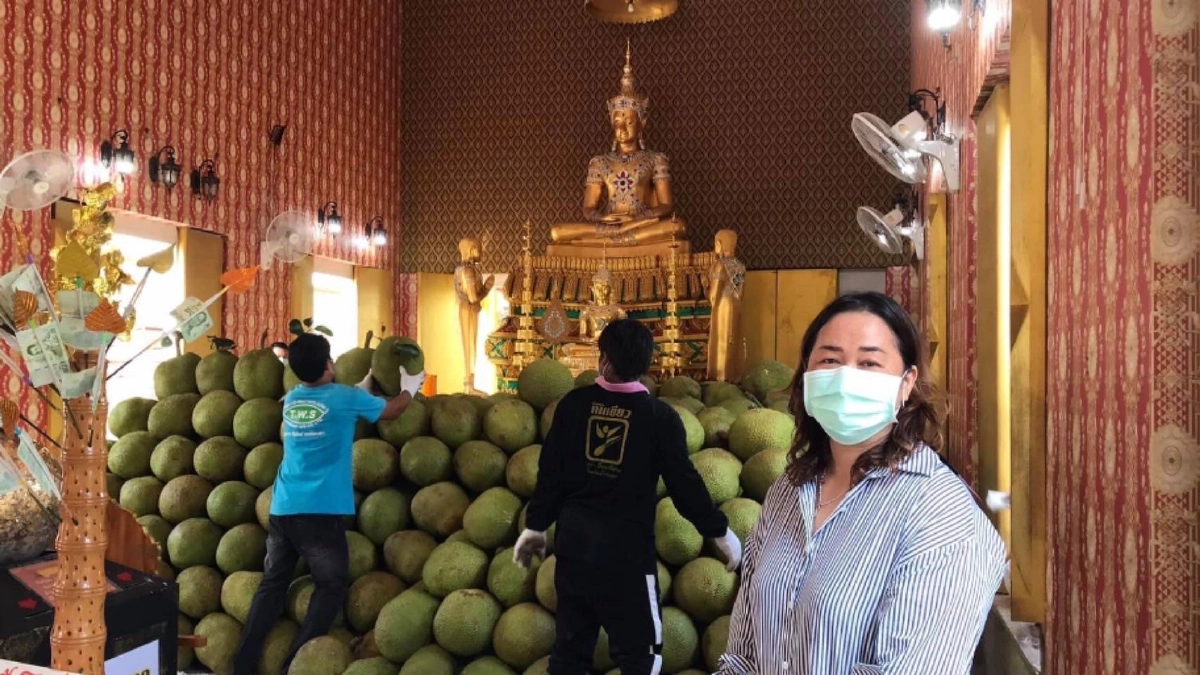 ขนุน 9 ตัน "แก้บน" หลวงพ่อสมหวัง วัดหนองงูเหลือม หลังขายที่ดินได้ภายใน 3 วัน