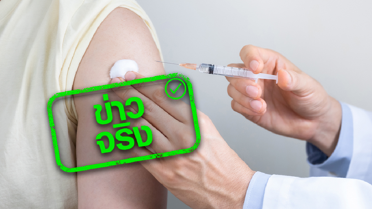 วันออกพรรษา, ฉีดวัคซีนโควิด-19, Thailand Pass, ลาป่วย, ใบรับรองแพทย์, รางจืด, ยาบ้า,  ข่าวบิดเบือน, ข่าวปลอม, ข่าวจริง