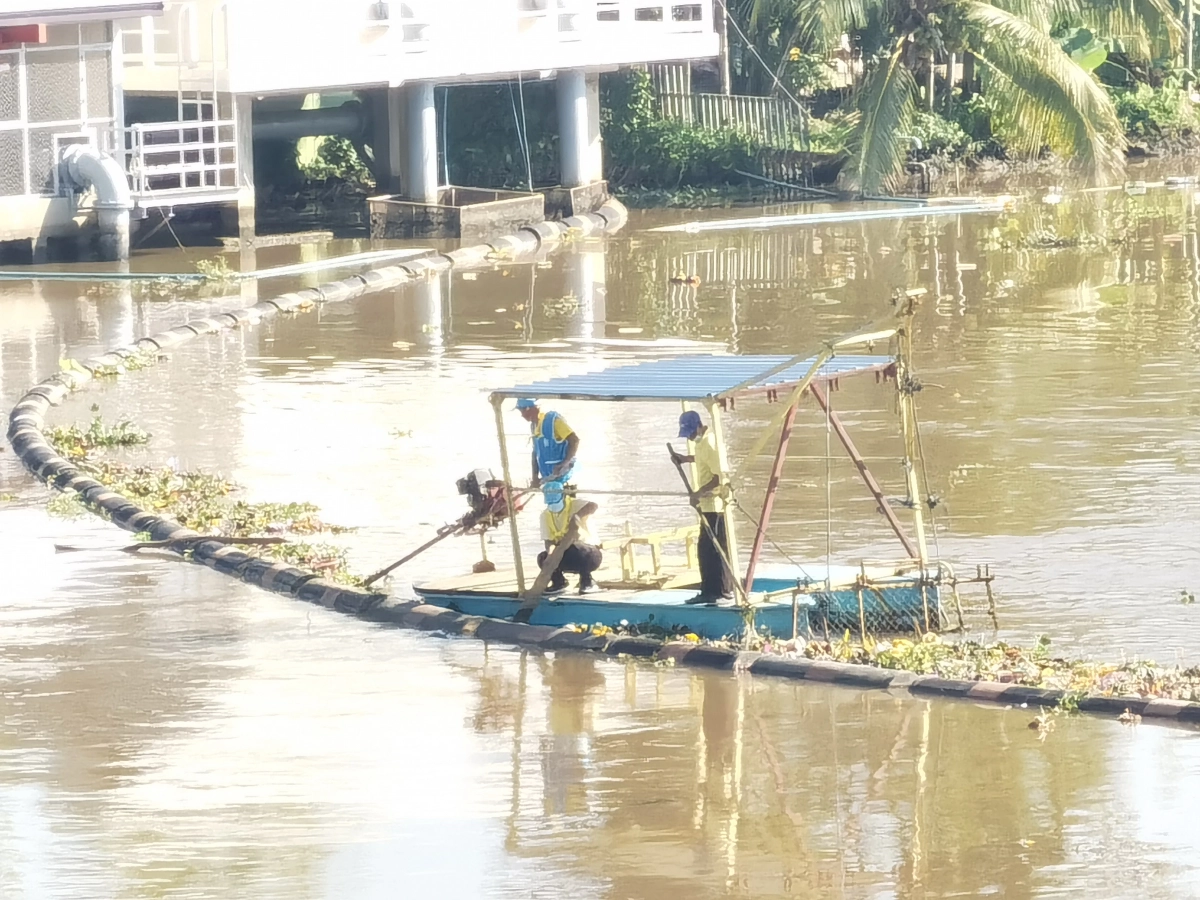 "ซากกระทง" ยี่เป็งเชียงใหม่ ลดลงเหลือ 20 ตัน เร่งจัดเก็บคืนน้ำใสให้ลำน้ำปิง