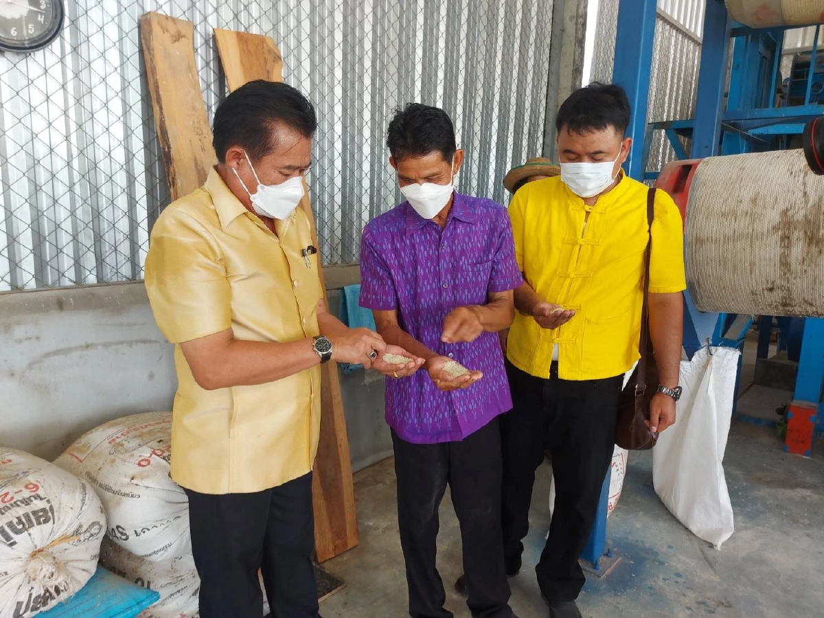 พิษณุโลกชูผลสำเร็จ "กลุ่มนาแปลงใหญ่บ้านผารังหมี" ปลูกข้าวได้คุณภาพ