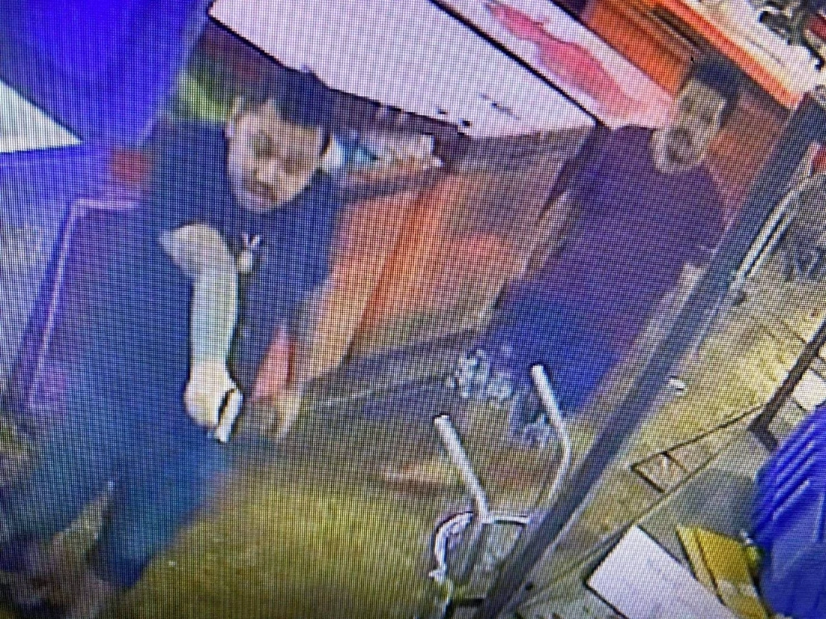 ลูกอดีตตำรวจ "เอส บางแค" โร่มอบตัว สุดซ่าปืนยิงอริ ตำรวจแจ้งข้อหาพยายามฆ่า