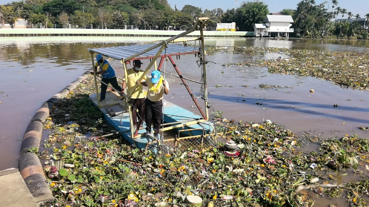 "ซากกระทง" ยี่เป็งเชียงใหม่ ลดลงเหลือ 20 ตัน เร่งจัดเก็บคืนน้ำใสให้ลำน้ำปิง