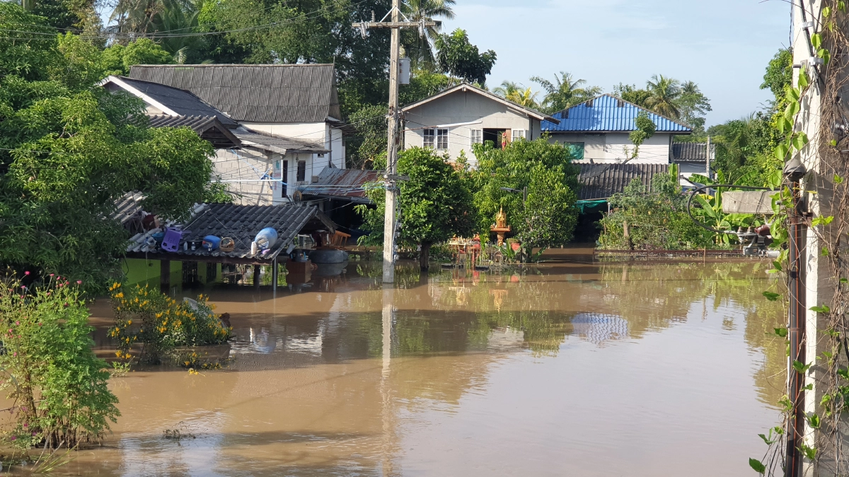 กล้วยขาดตลาดแน่ สวน "กล้วยหอมทอง" กล้วยน้ำว้า จ.เพชรบุรี จมน้ำ หลายร้อยไร่