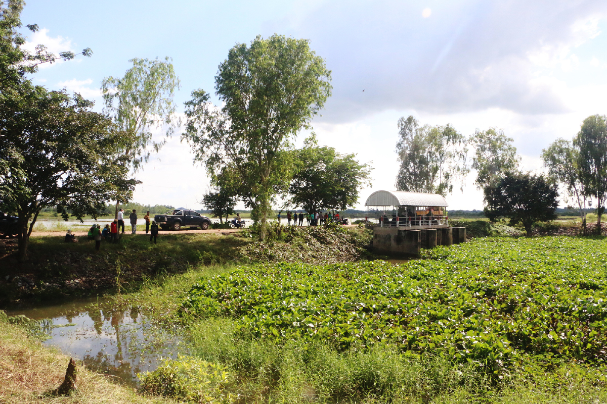 ชาวนา จ.พิจิตร ลุ้นระบายน้ำท่วมในนา รอเกี่ยว 