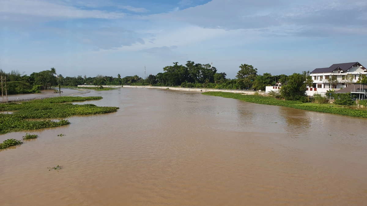 กล้วยขาดตลาดแน่ สวน "กล้วยหอมทอง" กล้วยน้ำว้า จ.เพชรบุรี จมน้ำ หลายร้อยไร่