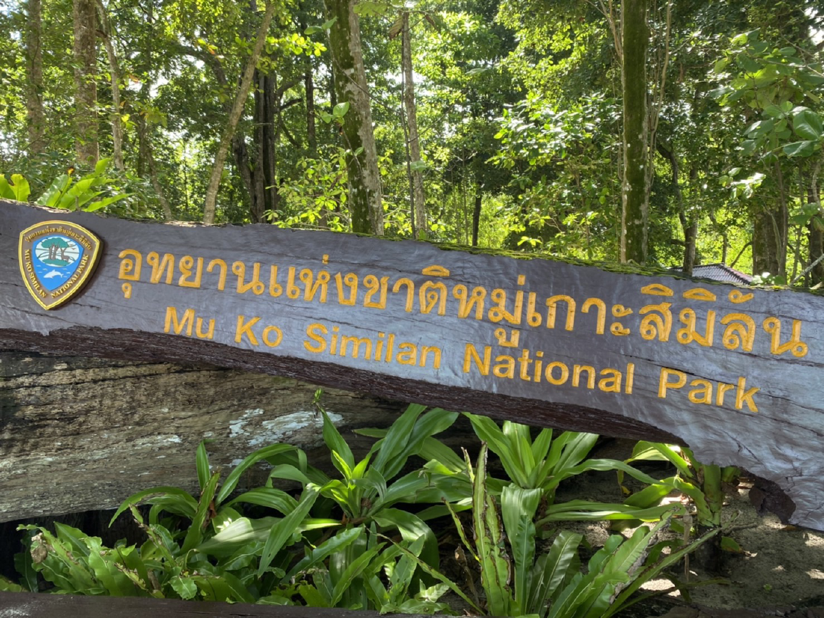 เสียงจากผู้ประกอบการเรือนำเที่ยวชื่อดัง \"นัท ณัฐกิตติ์\" โอดโควิด ทำธุรกิจชะงัก หนักกว่าสึนามิ