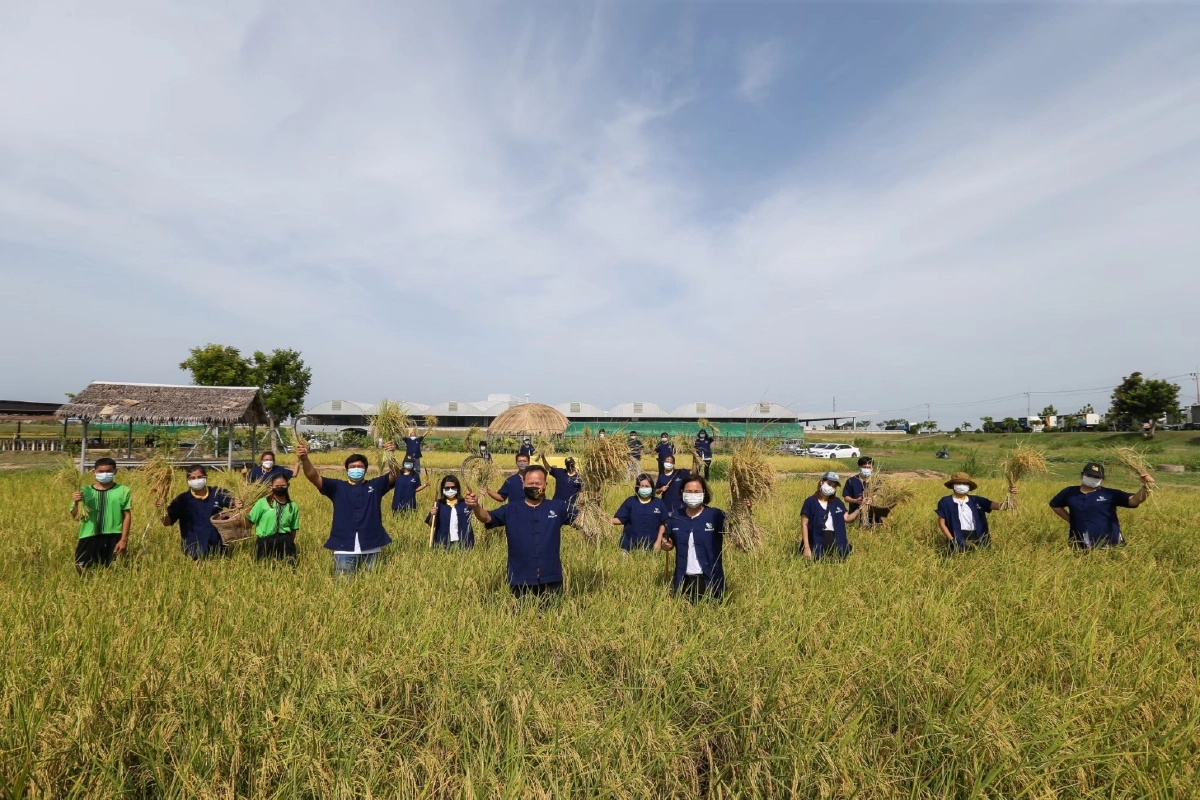 "โครงการโรงเรียนเกษตรพอเพียง" คว้ารางวัลประจำปี 2564