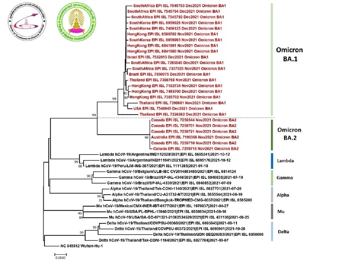 "Omicron" สายพันธุ์ย่อย BA1 และ BA2 วิวัฒนาการไวรัส ความแตกต่างที่มีนัยสำคัญ