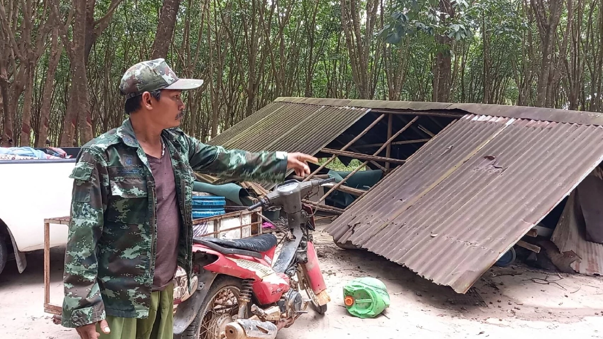 ผวา "ช้างป่า" พังกระท่อมเฝ้าสวนยาง อยู่ต่อก็กลัวจะไม่ปลอดภัย (คลิป)