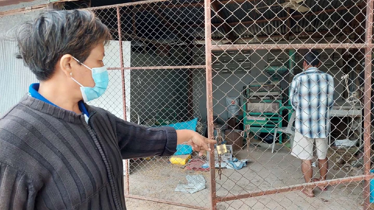 ช้ำใจ กว่าจะได้ข้าวก็ยากแล้ว มาเจอโจร มา "ขโมยข้าวเปลือก" 8 กระสอบ อีก