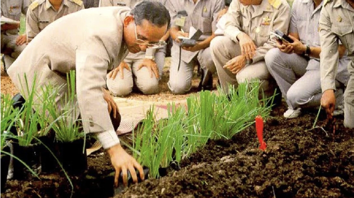 “วันดินโลก” โดยยูเนสโก จากพระอัจฉริยภาพ ร.9 กับการแก้ปัญหาดินเสื่อมโทรม