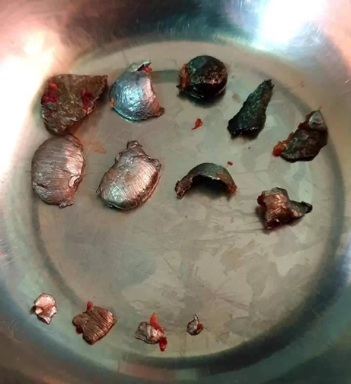 ช้างน้อย "ฟ้าใส" ผ่าตัดเอากระสุนออกแล้ว อาการปลอดภัย