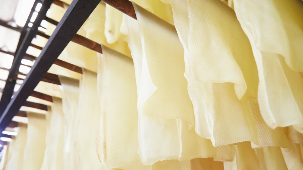 "กรณ์" มั่นใจคนรุ่นใหม่เลือกพรรคกล้า มุ่งดันราคายางพาราให้สูงขึ้น