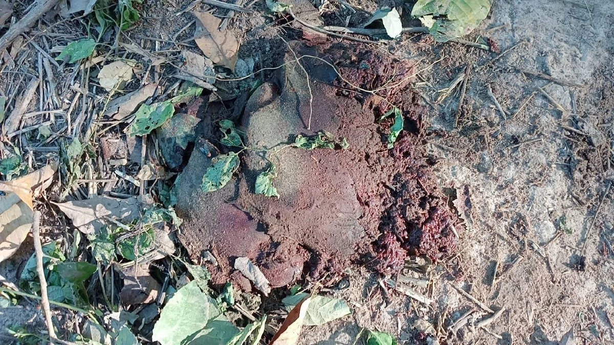 ซ้ำซาก หนุ่มใหญ่ออกกรีดยาง ถูกช้างป่าทำร้ายเสียชีวิต