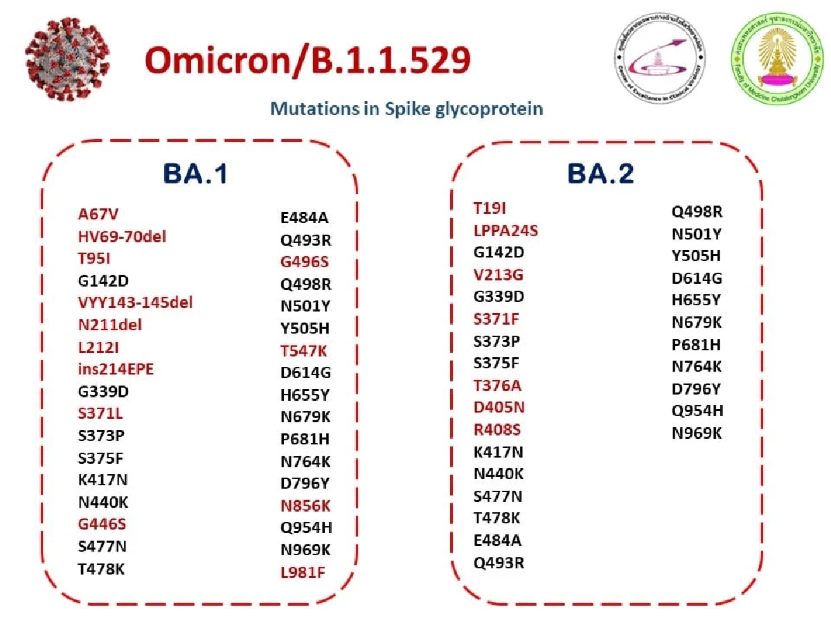 "Omicron" สายพันธุ์ย่อย BA1 และ BA2 วิวัฒนาการไวรัส ความแตกต่างที่มีนัยสำคัญ