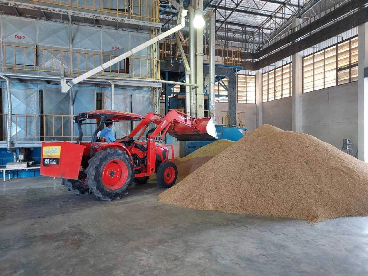 มุ่งผลิต "เมล็ดพันธุ์" ได้มาตรฐานรองรับแรงงานกลุ่มได้รับผลกระทบ COVID-19