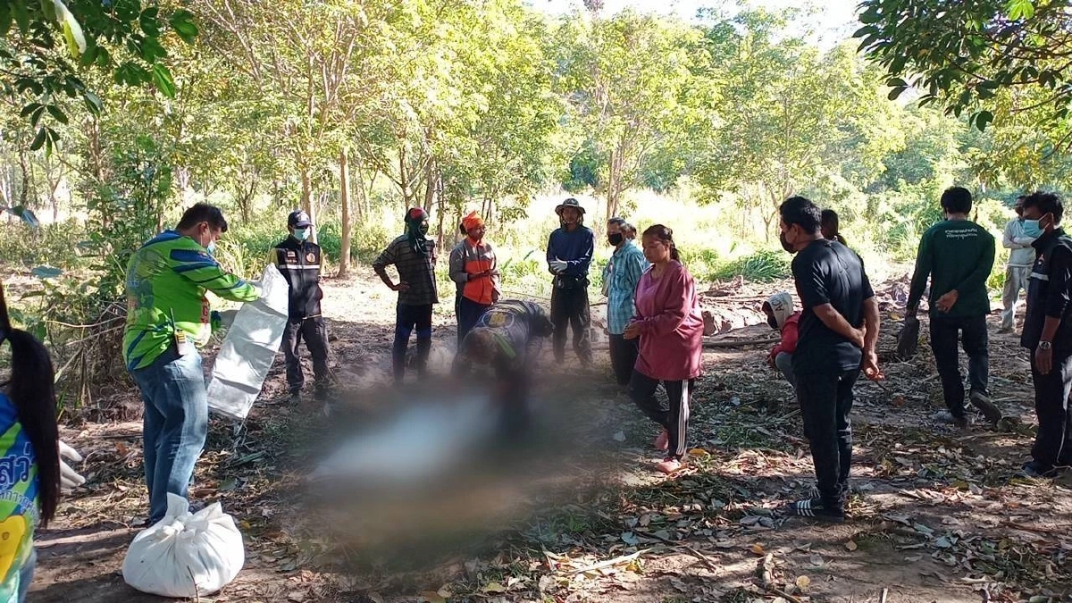 ซ้ำซาก หนุ่มใหญ่ออกกรีดยาง ถูกช้างป่าทำร้ายเสียชีวิต