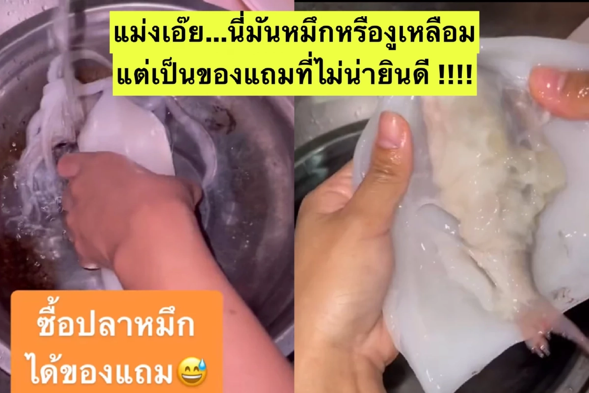หมึกยัดไส้, ผู้บริโภค, หมึก, งูเหลือม