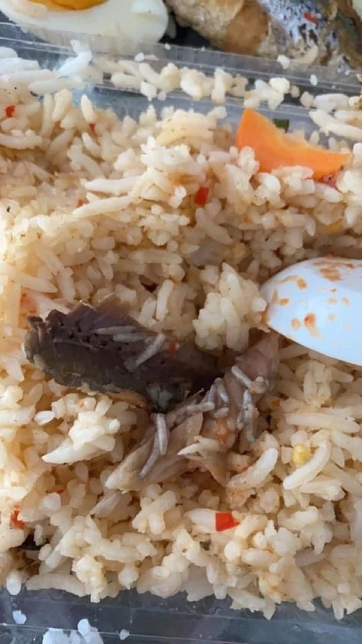 ปลาทู, น้ำพริกปลาทู, ขนลุก, ไข่, อ้วก 