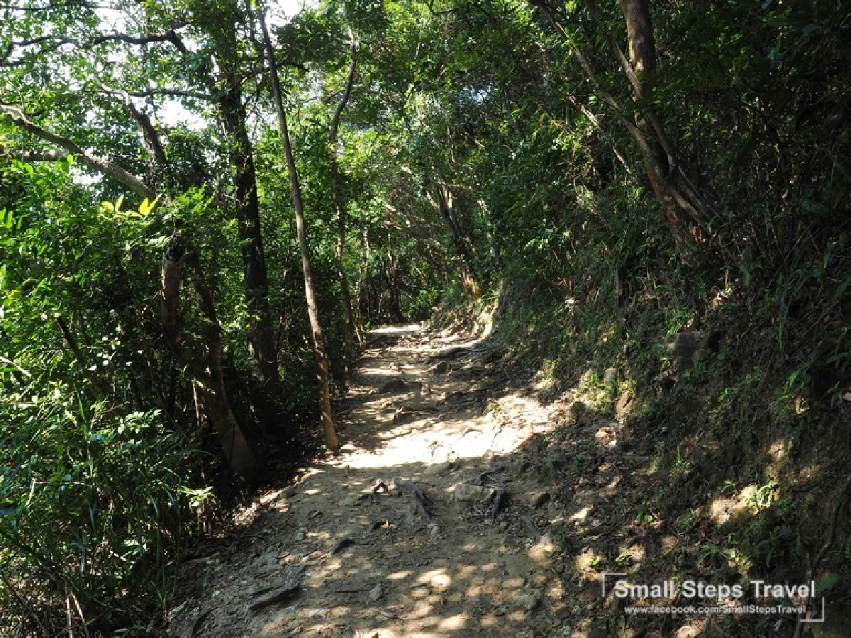 เดินป่า รับพลังบนหลังมังกร ทริปเดินป่าระยะสั้นที่ฮ่องกง ฉลองเปิดประเทศ