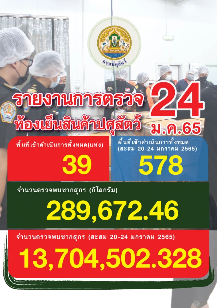 เกิดมาเพิ่งเคยเจอ "หมูสันนอกติดปีก"สต๊อกหมูจากราชบุรีดันไปโผล่สมุทรสาคร