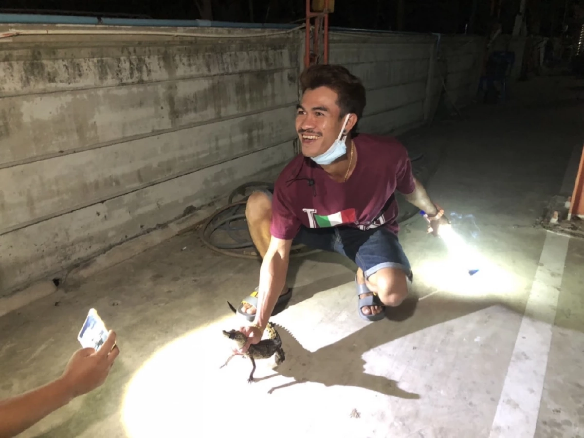 นั่งตกเบ็ดได้ "ลูกจระเข้" แจ้งเจ้าหน้าที่ มารับตัวกลับไปด้วย