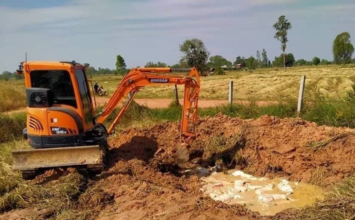 เอาผิดรมว.เกษตรฯ  รมว.พาณิชย์ ปล่อย "หมูแพง"