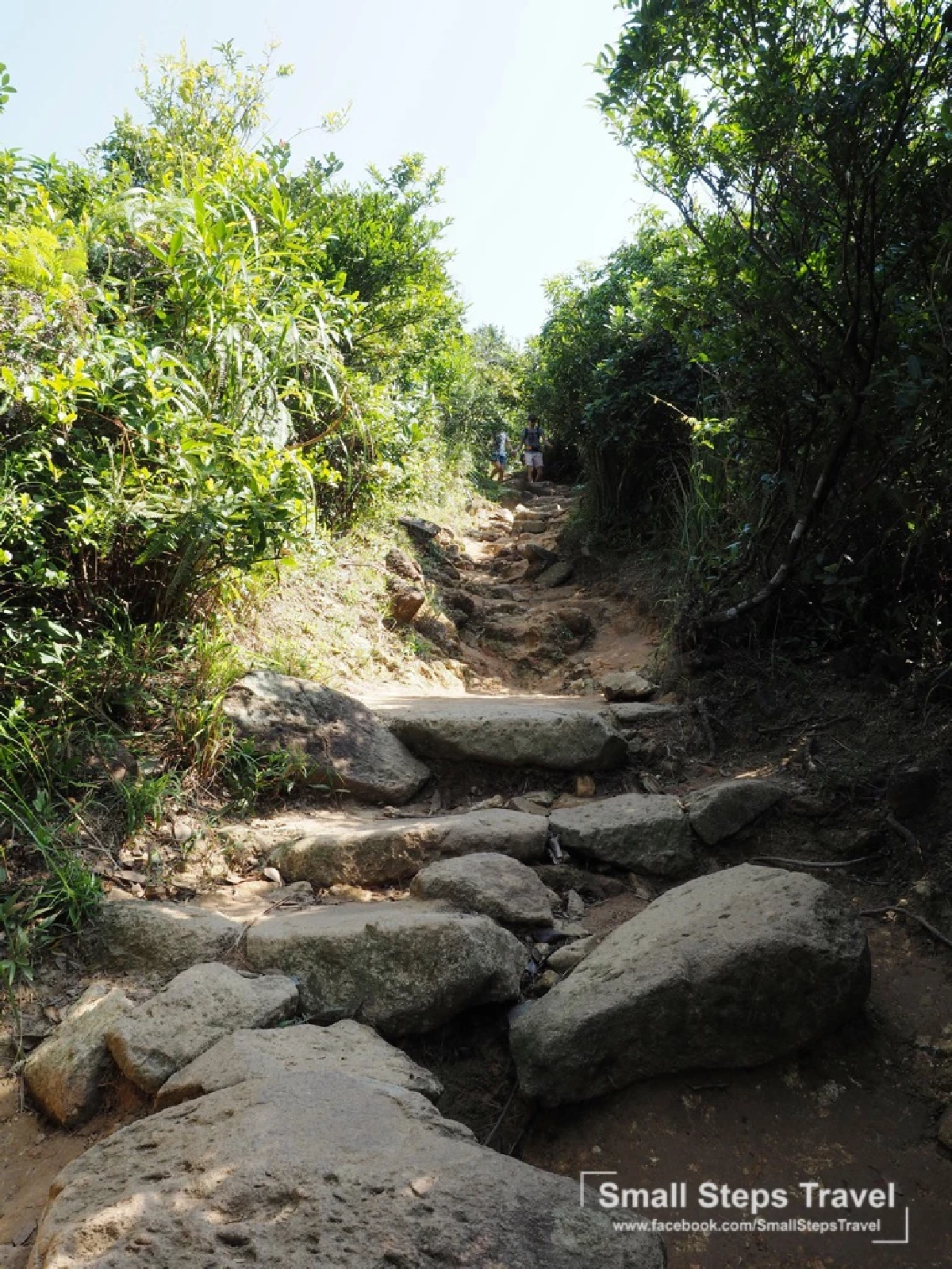 เดินป่า รับพลังบนหลังมังกร ทริปเดินป่าระยะสั้นที่ฮ่องกง ฉลองเปิดประเทศ