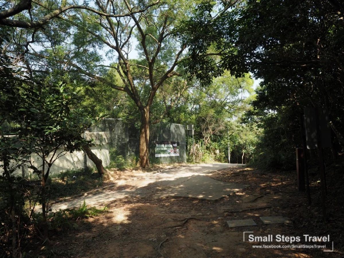 เดินป่า รับพลังบนหลังมังกร ทริปเดินป่าระยะสั้นที่ฮ่องกง ฉลองเปิดประเทศ