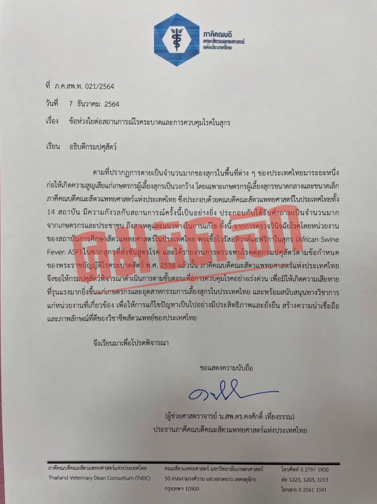 ด่วน เปิดเอกสารสำคัญ ตรวจพบหมูเป็นโรคอหิวาต์แอฟริกาปีที่แล้ว ลุกลามหมูแพง