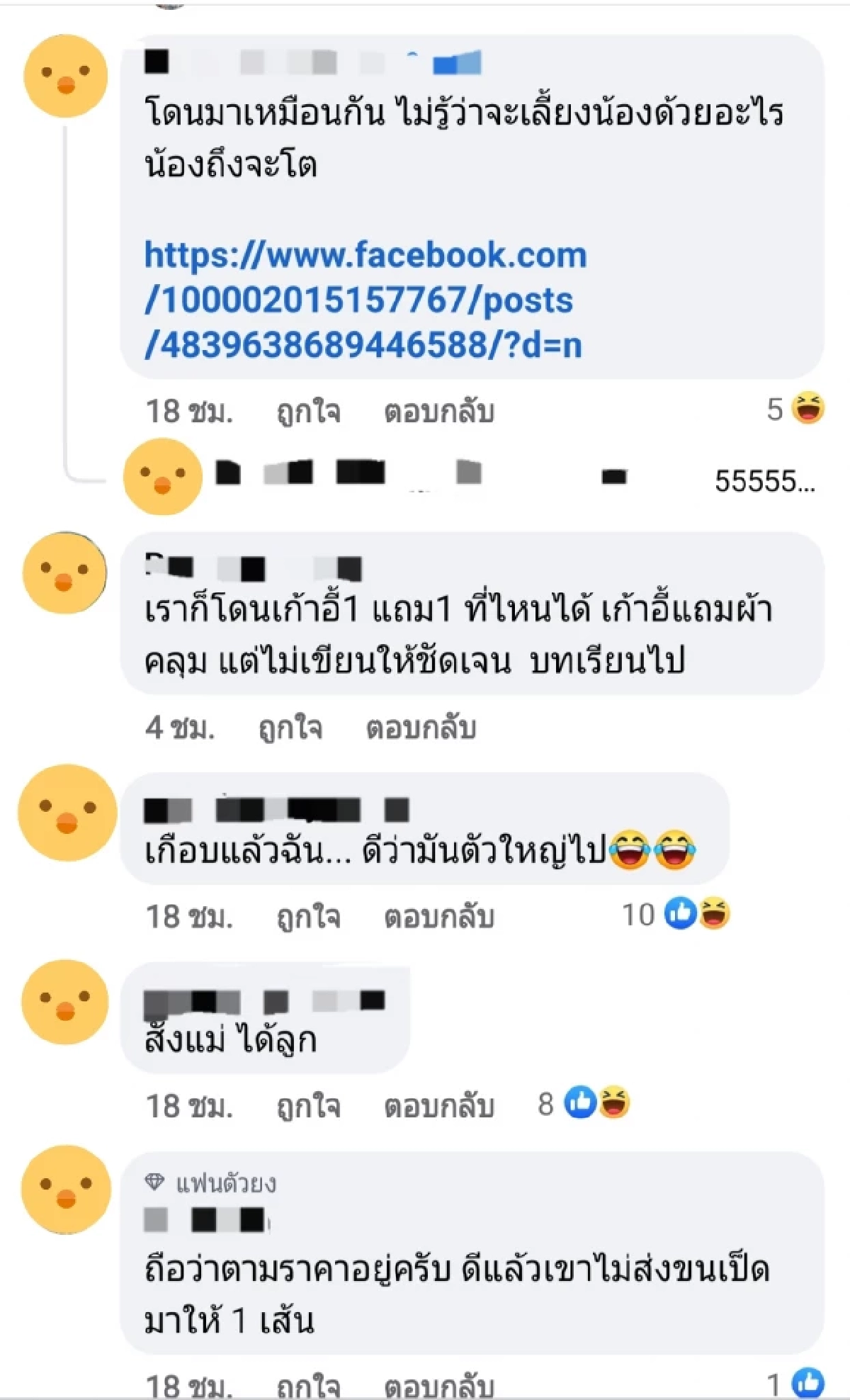 อย่าหาแต่ของถูก "ตุ๊กตาโคตรเป็ด" ไม่ตรงปก แม่ค้าปิดเพจหนีแล้ว