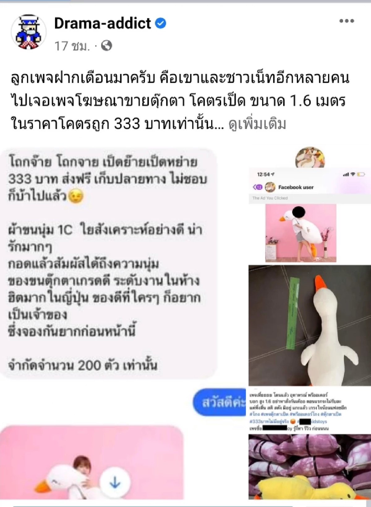 อย่าหาแต่ของถูก "ตุ๊กตาโคตรเป็ด" ไม่ตรงปก แม่ค้าปิดเพจหนีแล้ว