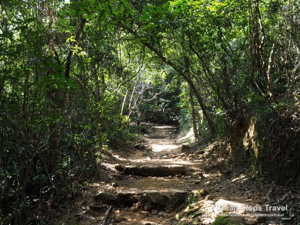 เดินป่า รับพลังบนหลังมังกร ทริปเดินป่าระยะสั้นที่ฮ่องกง ฉลองเปิดประเทศ