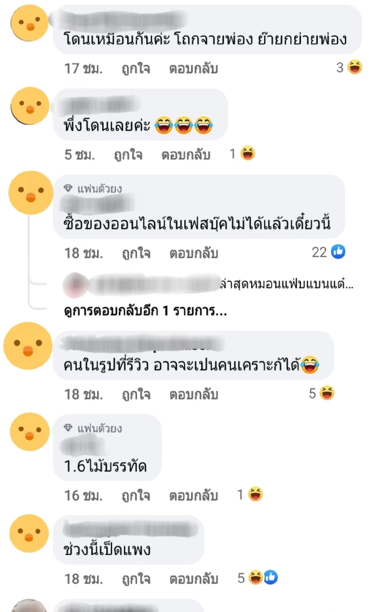 อย่าหาแต่ของถูก "ตุ๊กตาโคตรเป็ด" ไม่ตรงปก แม่ค้าปิดเพจหนีแล้ว