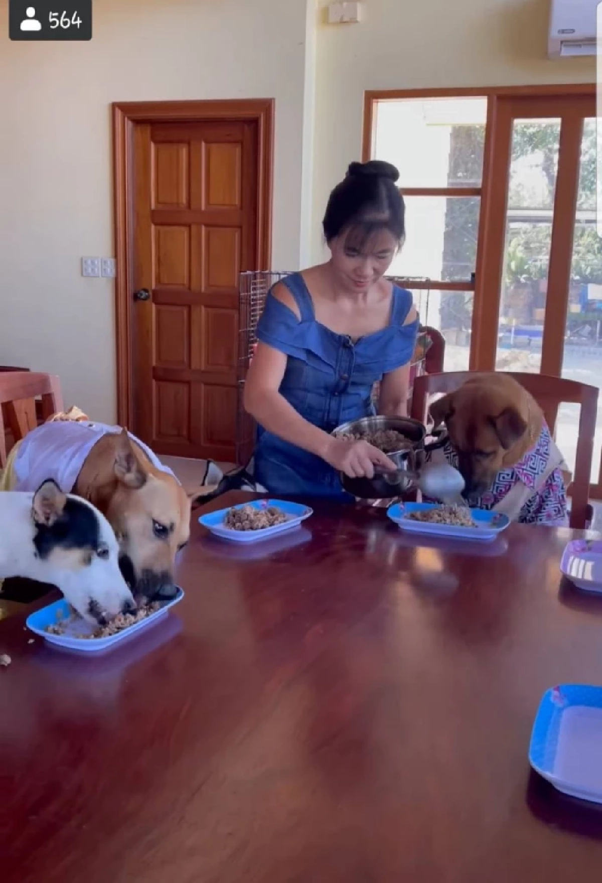 แห่แชร์ "น้องหมา" แต่งตัวจัดเต็ม นั่งกินข้าวโต๊ะอาหาร เป็นระเบียบ น่าเอ็นดู