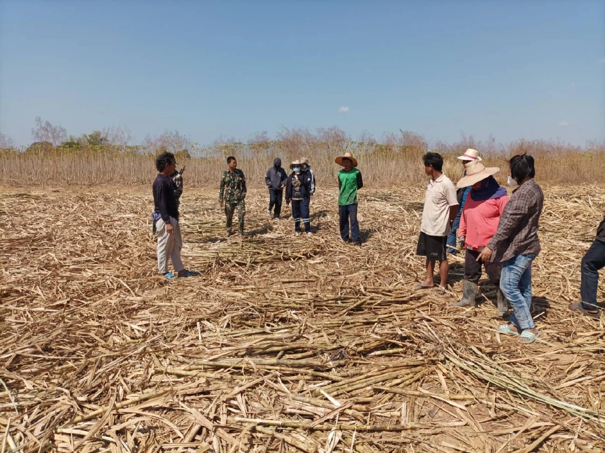 เร่งตามหา "ช้างป่าเขาอ่างฤาไน" ตกลูกกลางไร่อ้อย อ.กบินทร์บุรี จ.ปราจีนบุรี