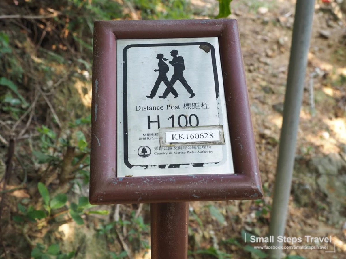 เดินป่า รับพลังบนหลังมังกร ทริปเดินป่าระยะสั้นที่ฮ่องกง ฉลองเปิดประเทศ