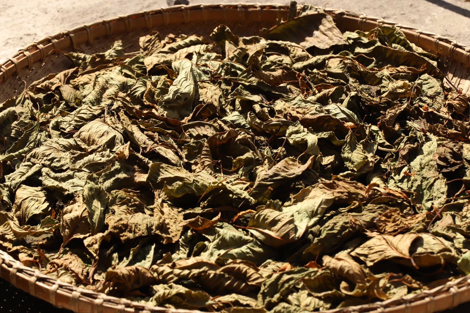 การแปรรูปพืชกระท่อม 