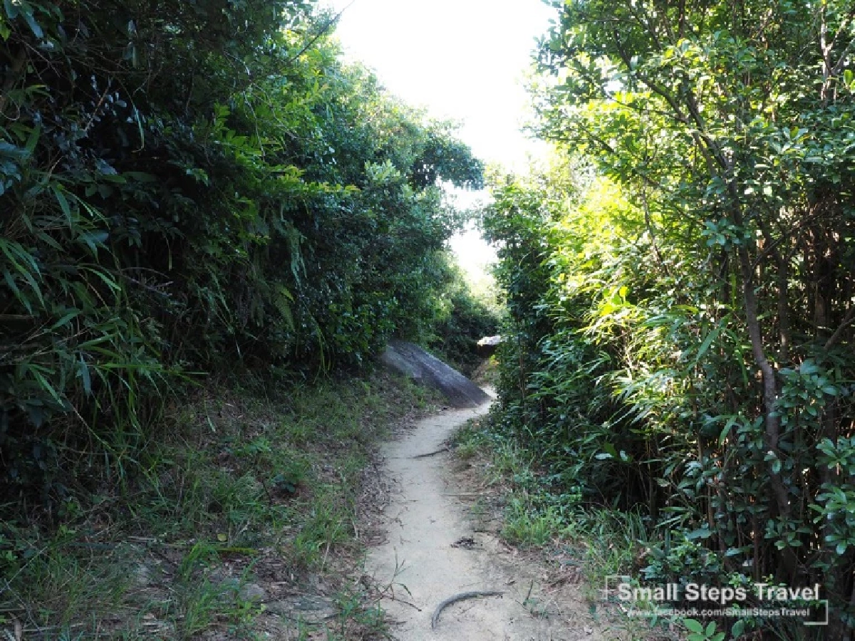 เดินป่า รับพลังบนหลังมังกร ทริปเดินป่าระยะสั้นที่ฮ่องกง ฉลองเปิดประเทศ