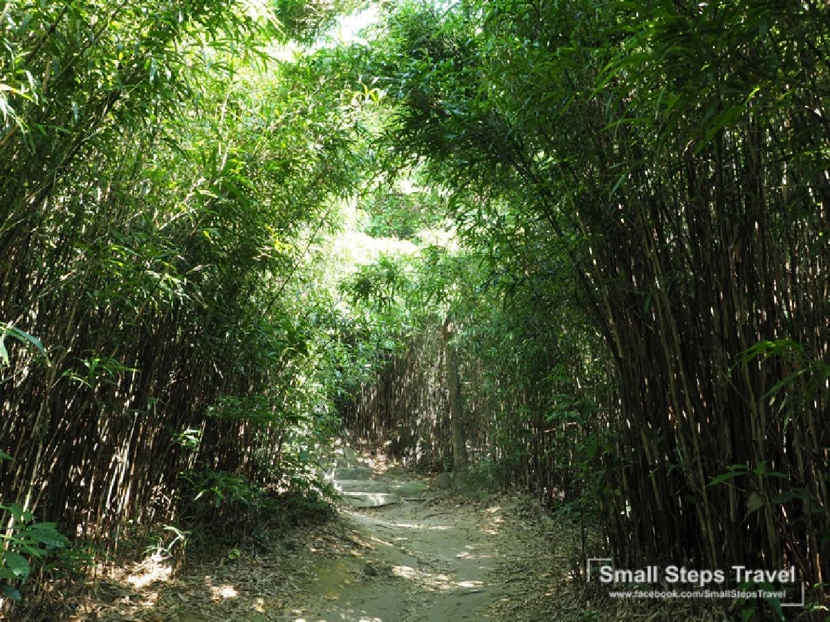 เดินป่า รับพลังบนหลังมังกร ทริปเดินป่าระยะสั้นที่ฮ่องกง ฉลองเปิดประเทศ