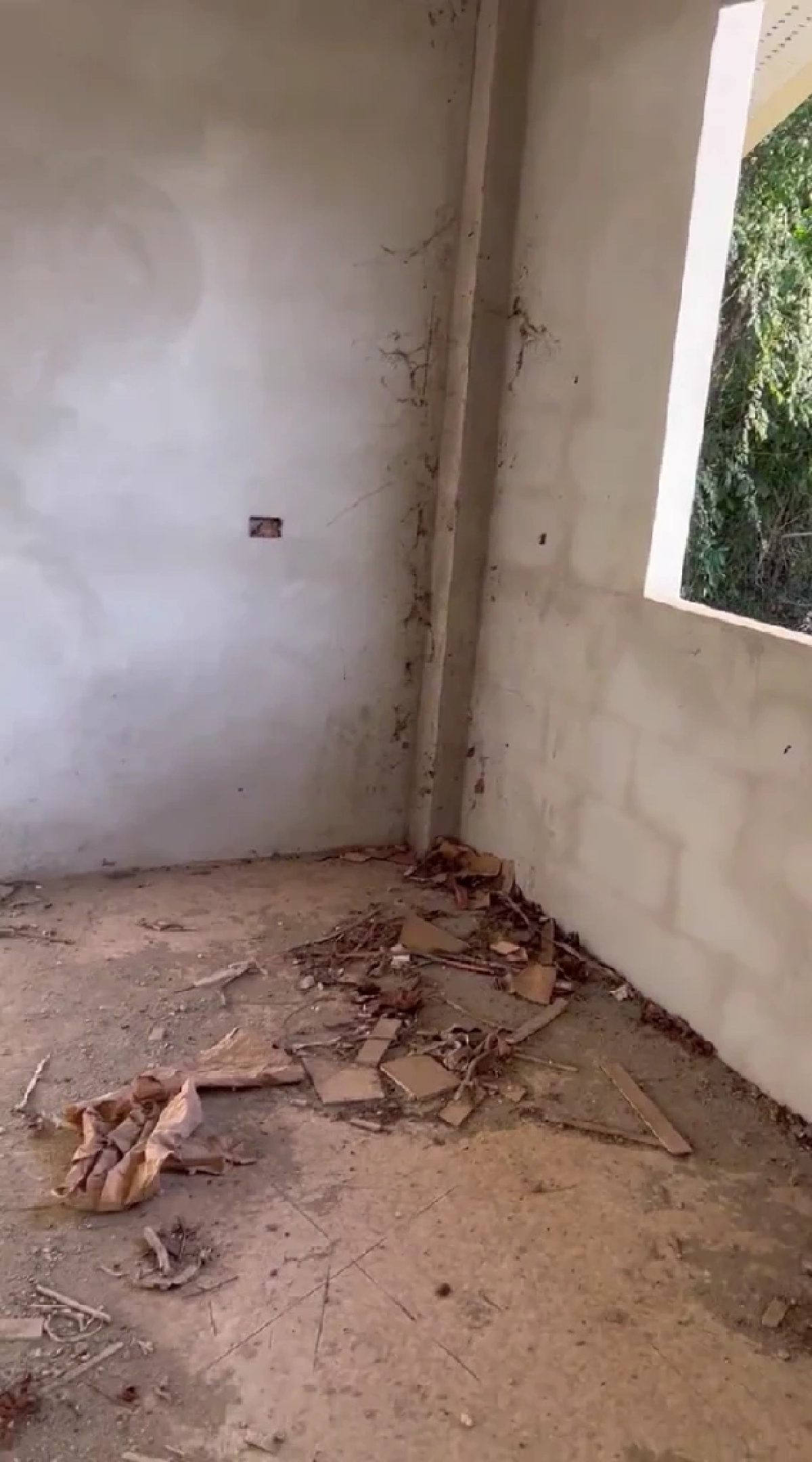 สาวสุดช้ำ, ตั้งใจทำงาน, เก็บเงิน, เกาหลี, 7 ปี, ญาติ, สร้างบ้าน