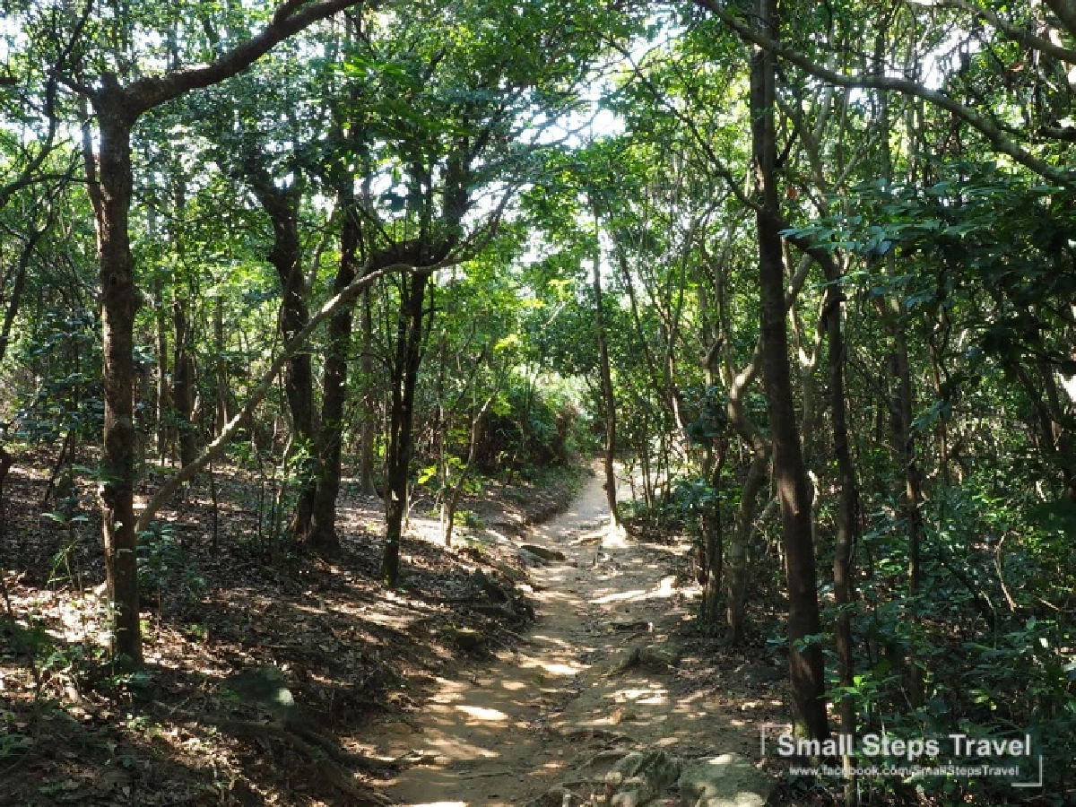 เดินป่า รับพลังบนหลังมังกร ทริปเดินป่าระยะสั้นที่ฮ่องกง ฉลองเปิดประเทศ