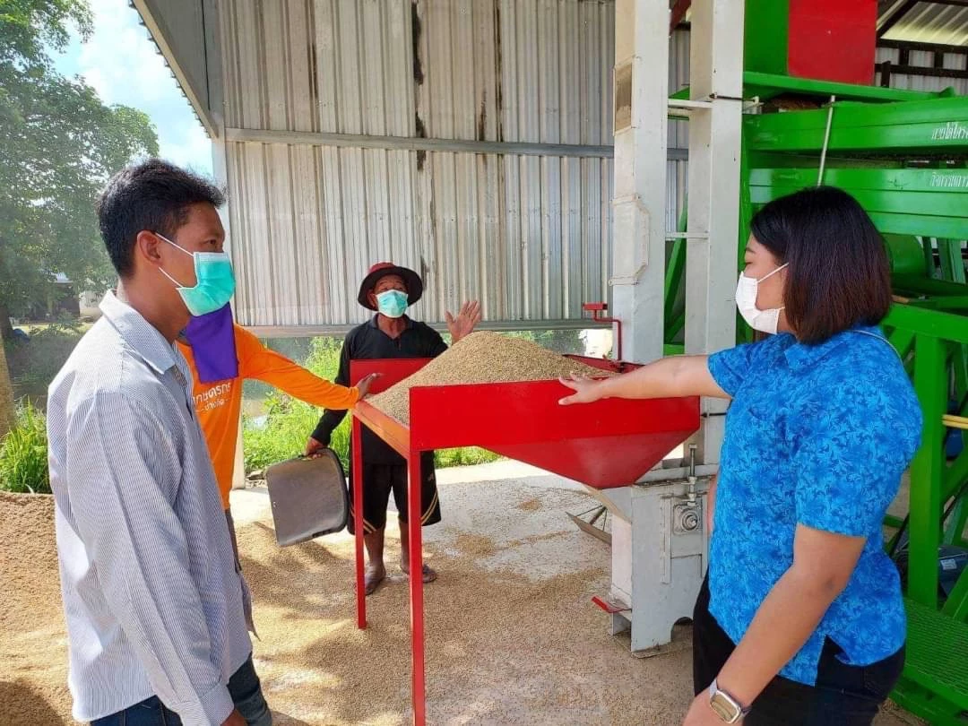 "แปลงใหญ่ข้าว" บ้านกระบวยทองใต้ ต่อยอดสู่การแปรรูปสร้างรายได้มั่นคง