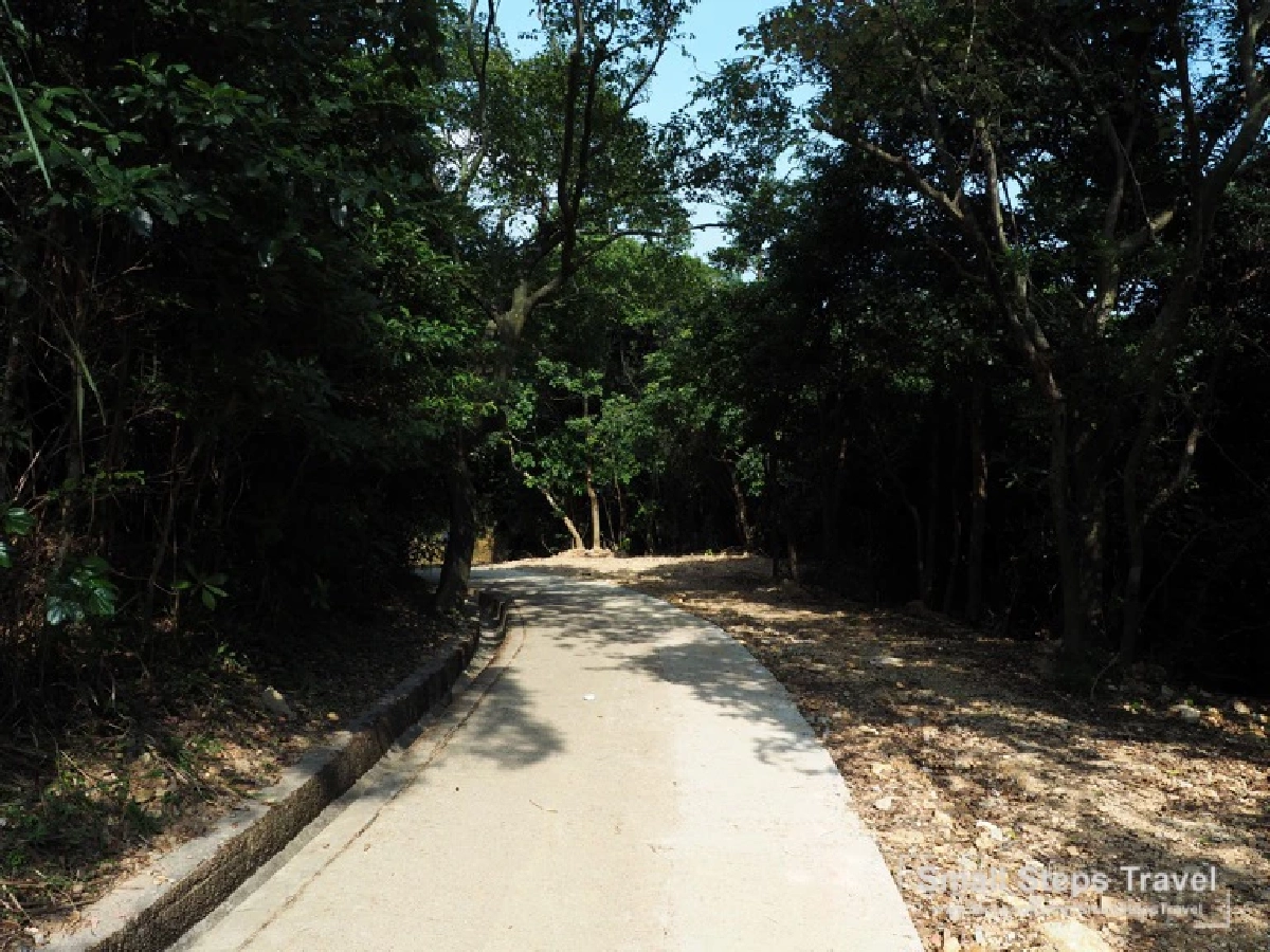 เดินป่า รับพลังบนหลังมังกร ทริปเดินป่าระยะสั้นที่ฮ่องกง ฉลองเปิดประเทศ