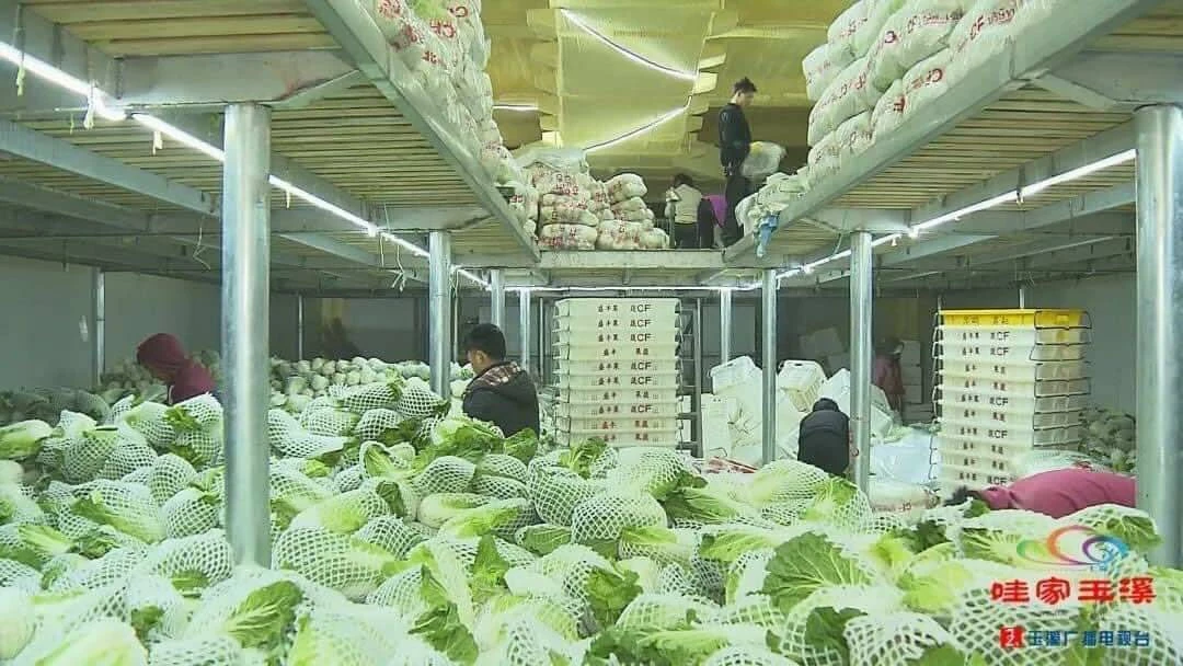 หนีของแพง ในที่สุดมาเจอแล้ว "ของถูก"คราวนี้ทำไงดีหล่ะ โดย "ขุนเกษตรพิเรน"