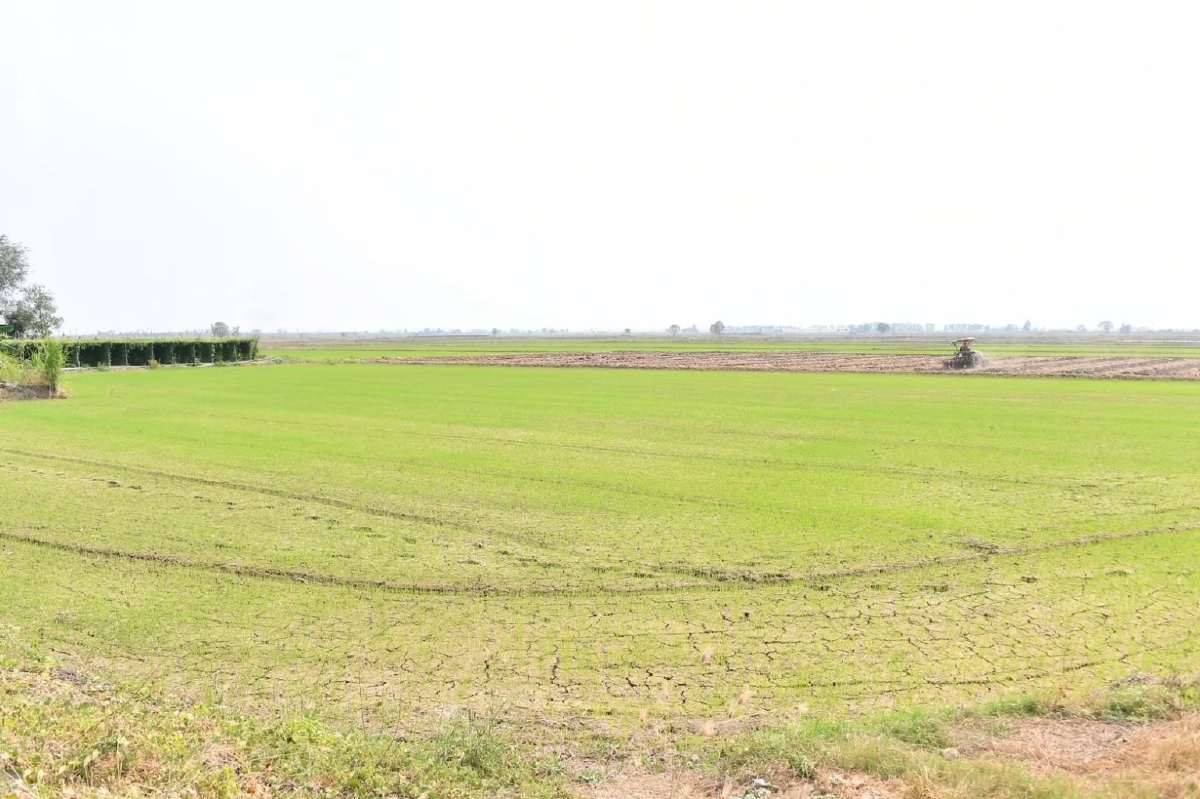 "ชป. "ขานรับ กอนช. คุมเข้มแผนใช้น้ำ ลุ่มน้ำเจ้าพระยา