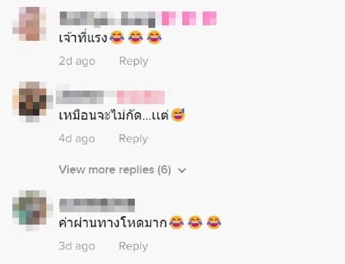 หมา, แก๊งมาเฟีย 4 ขา, สะพานลอย